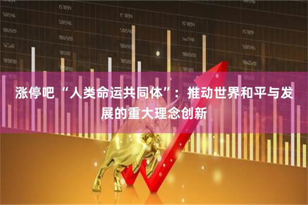 涨停吧 “人类命运共同体”：推动世界和平与发展的重大理念创新