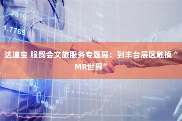 达道宝 服贸会文旅服务专题展：到丰台展区触摸“MR世界”