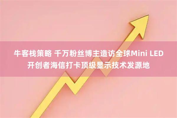 牛客栈策略 千万粉丝博主造访全球Mini LED开创者海信打卡顶级显示技术发源地