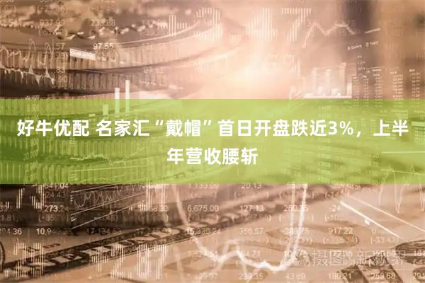 好牛优配 名家汇“戴帽”首日开盘跌近3%，上半年营收腰斩
