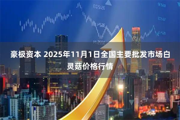 豪极资本 2025年11月1日全国主要批发市场白灵菇价格行情
