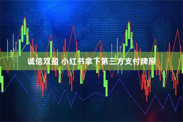 诚信双盈 小红书拿下第三方支付牌照