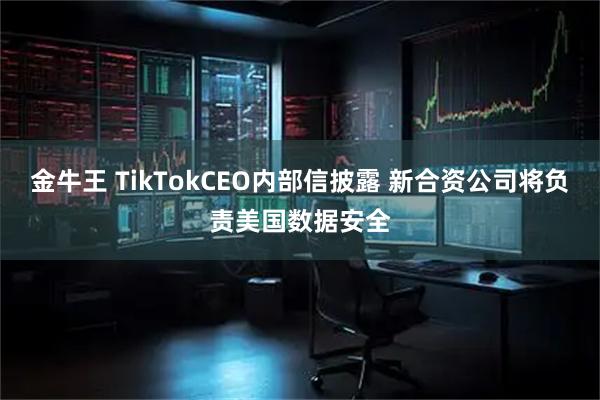 金牛王 TikTokCEO内部信披露 新合资公司将负责美国数据安全
